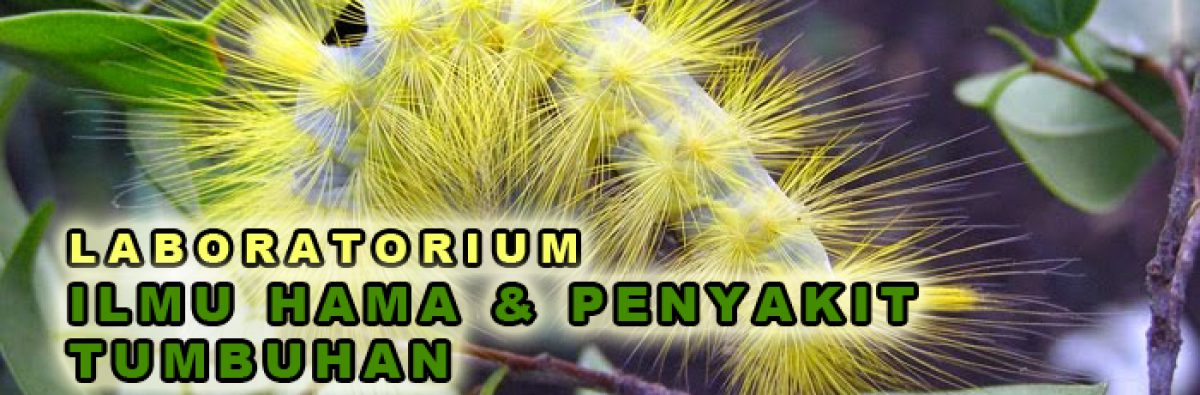 Laboratorium Ilmu Hama & Penyakit Tumbuhan