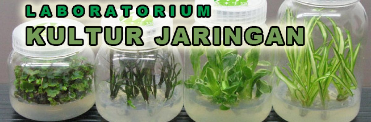 Laboratorium Kultur Jaringan