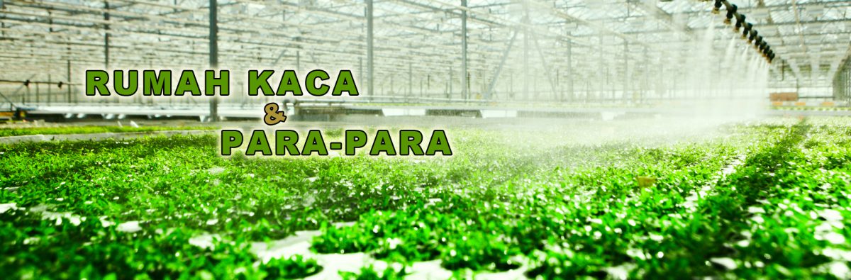 Rumah Kaca & Para-Para